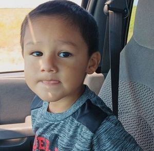 Meet your Posher, Roy